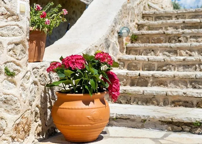 Apartment Blue View *