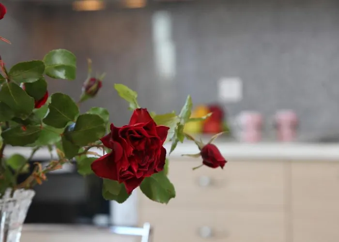 Blue View Tsoukaladhes